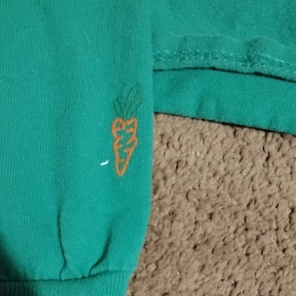 Carrots by Anwar Long Sleeve Green Designer Shirt - Picture 4 of 6